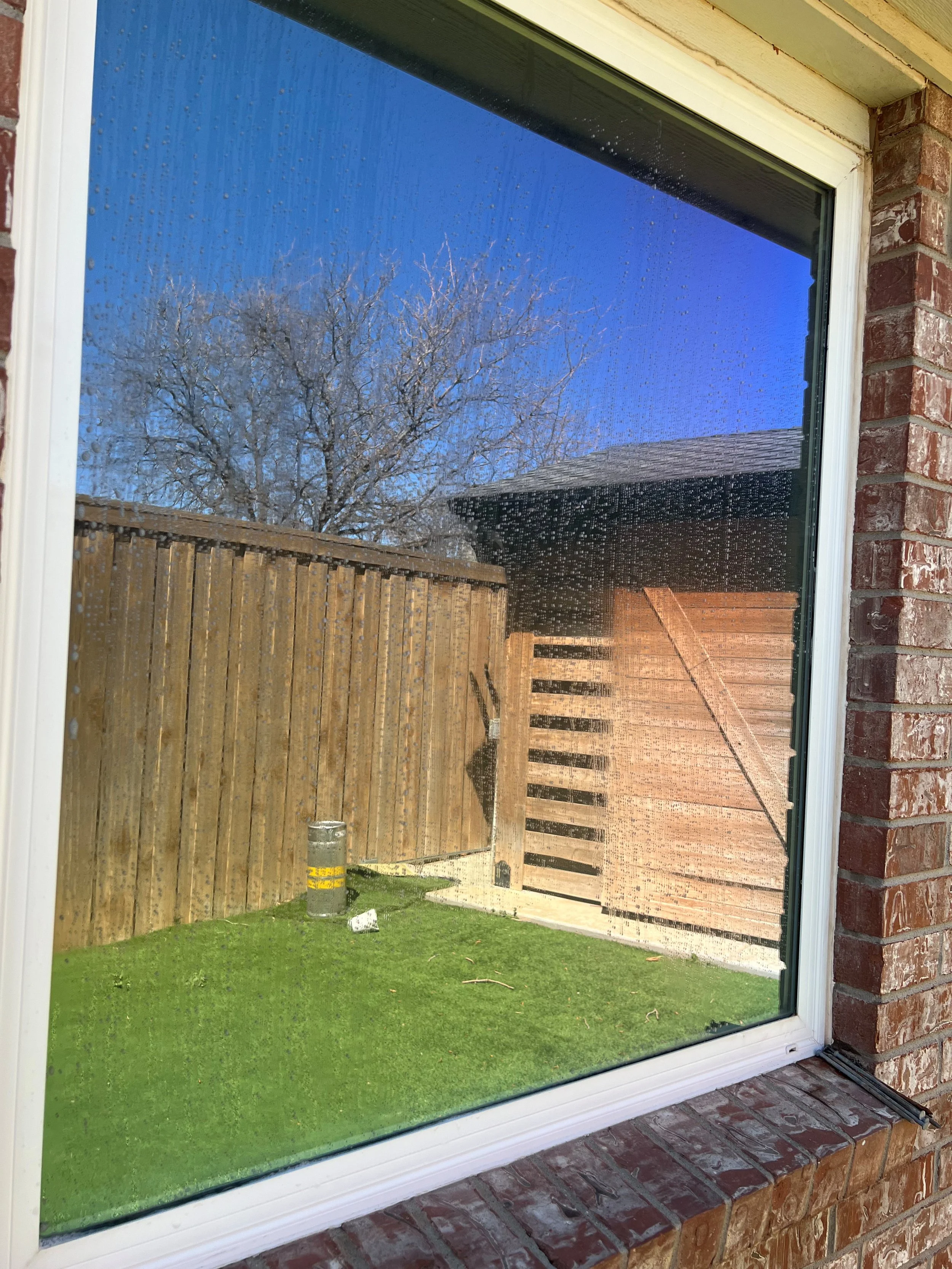 Waddell Windows soapy.jpg