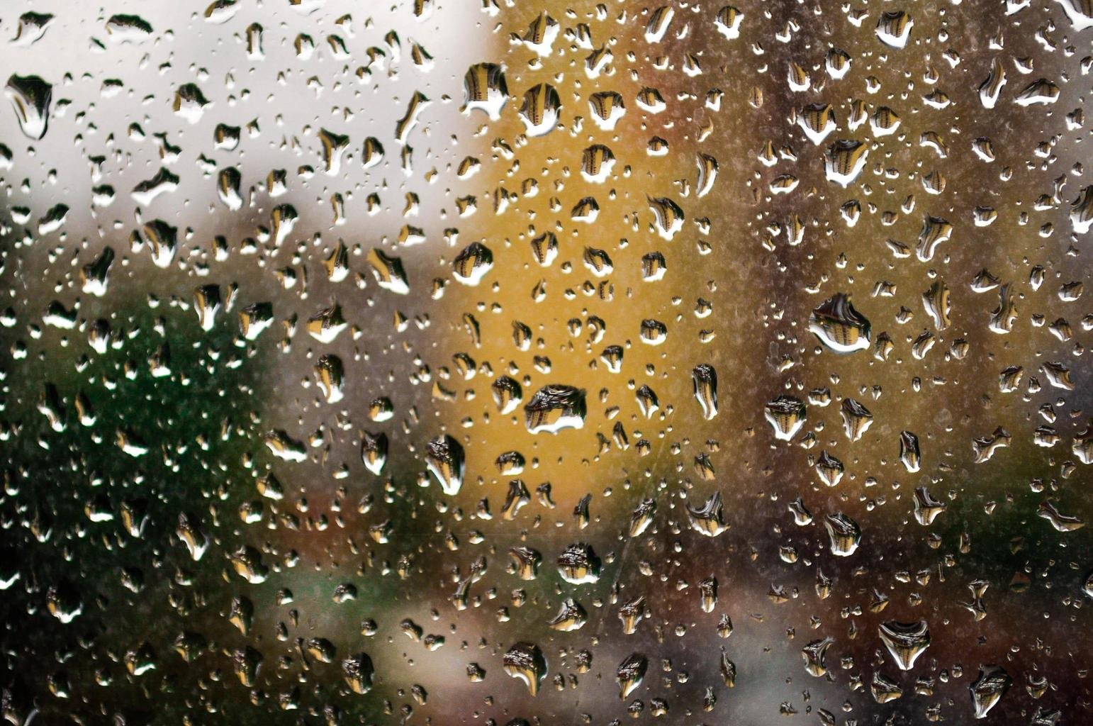 WINDOW PAIN