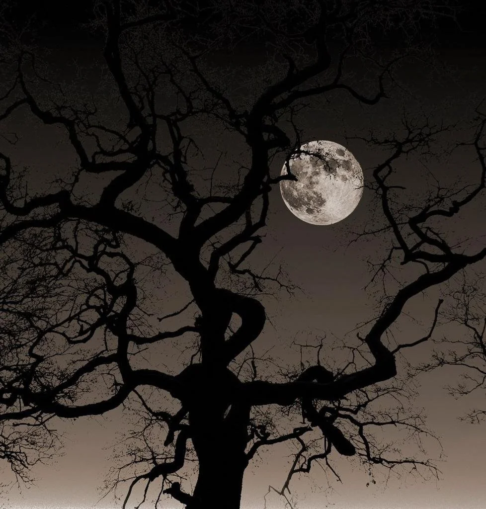 SPOOKY