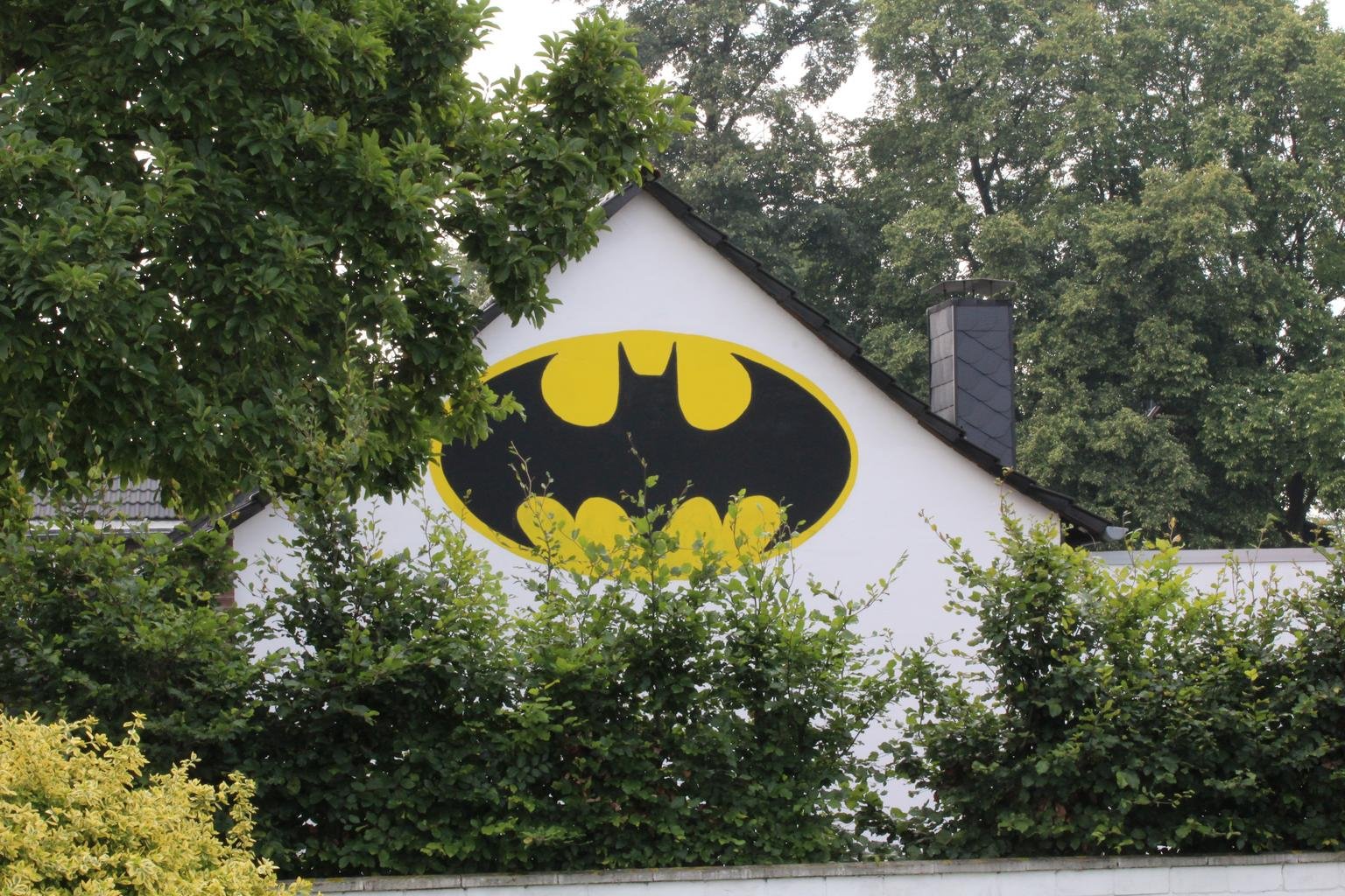 BAT SIGNAL