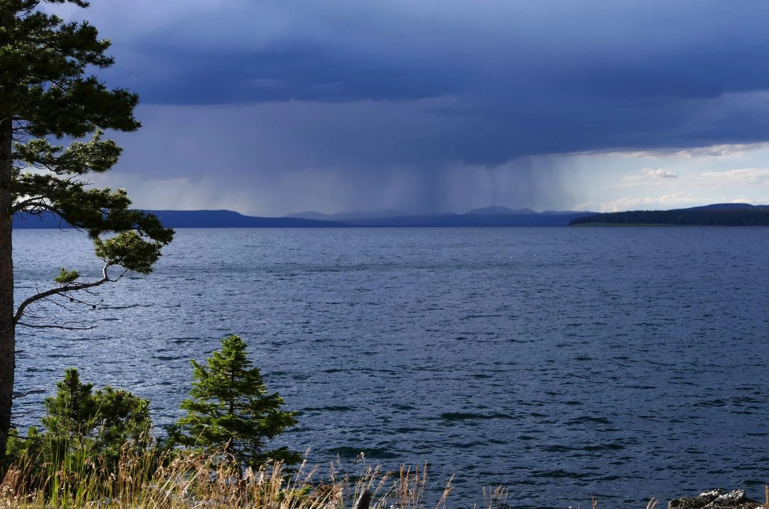 RAINFALL