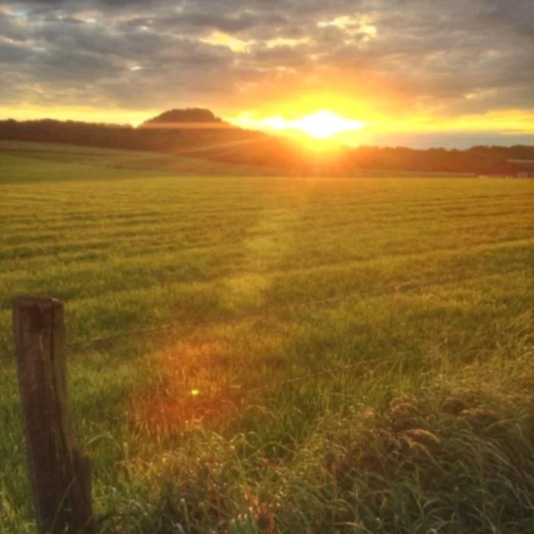 sunset_fields_late_summer.jpg