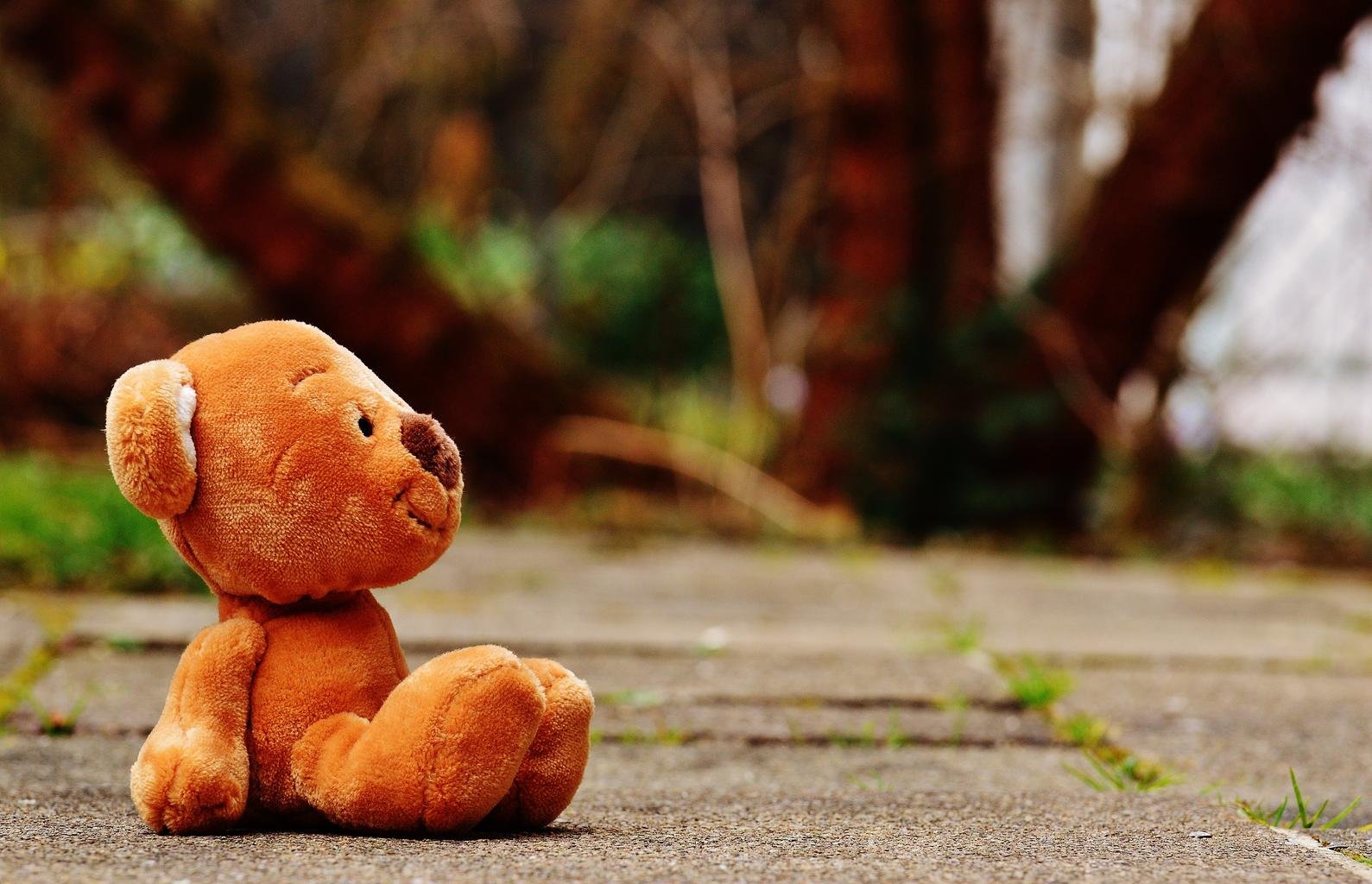 TEDDY