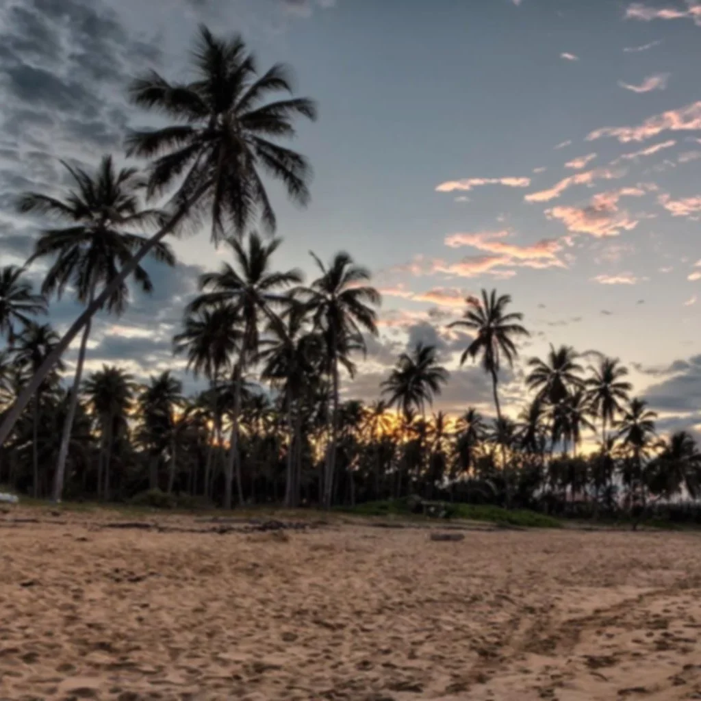 beach_sunset_sunset_beach_1.jpg