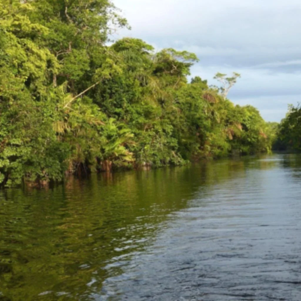 river_rainforest_costa_rica.jpg