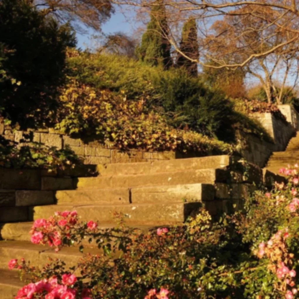stairs_stair_step_stone.jpg