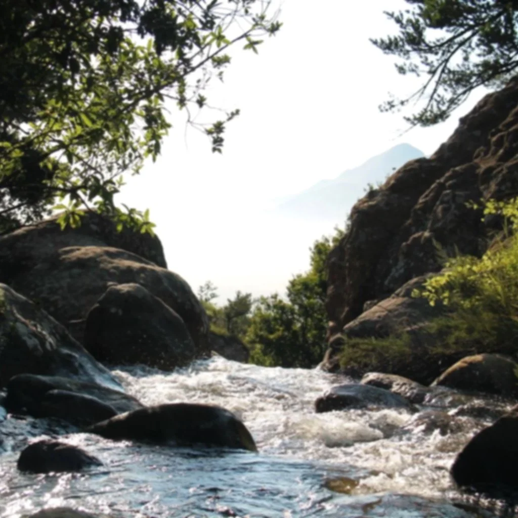nature_stream.jpg