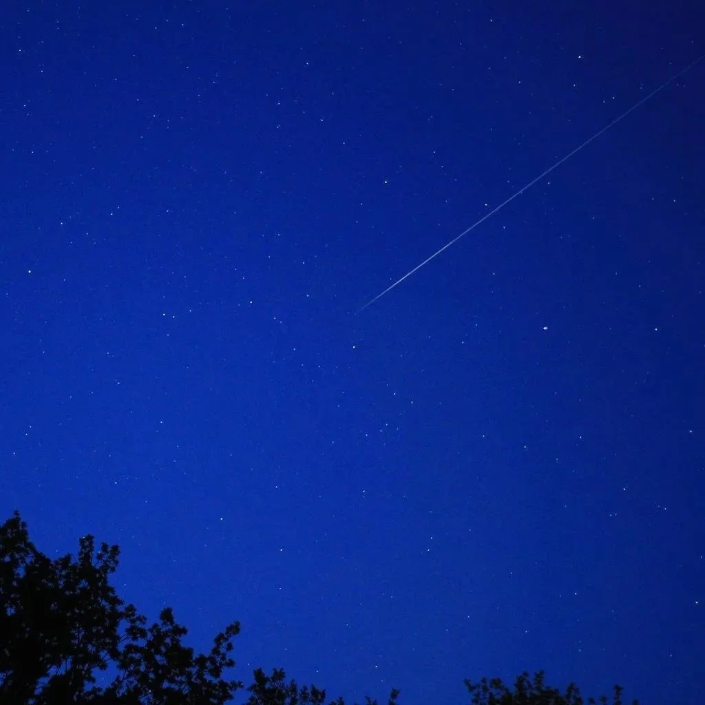 star_shooting_star_night.jpg