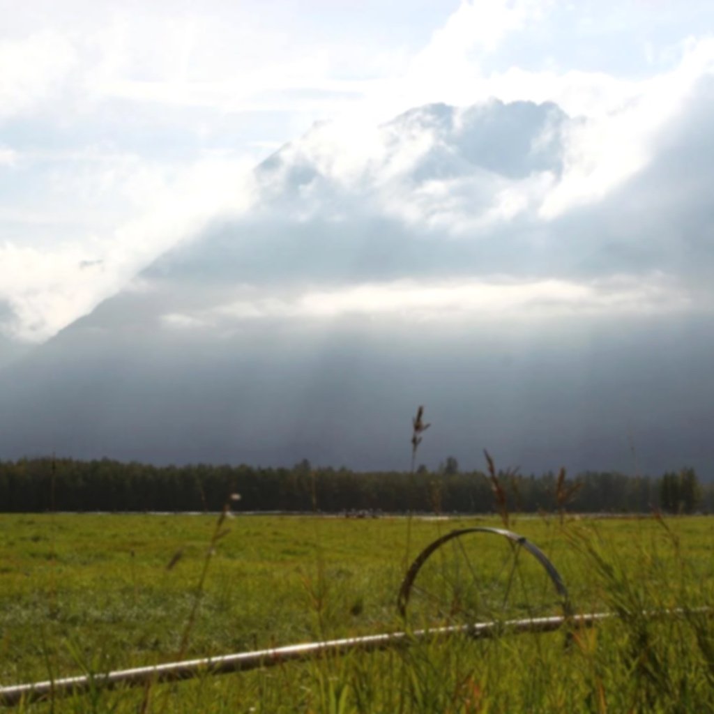 farm_matanuska_valley_ak.jpg