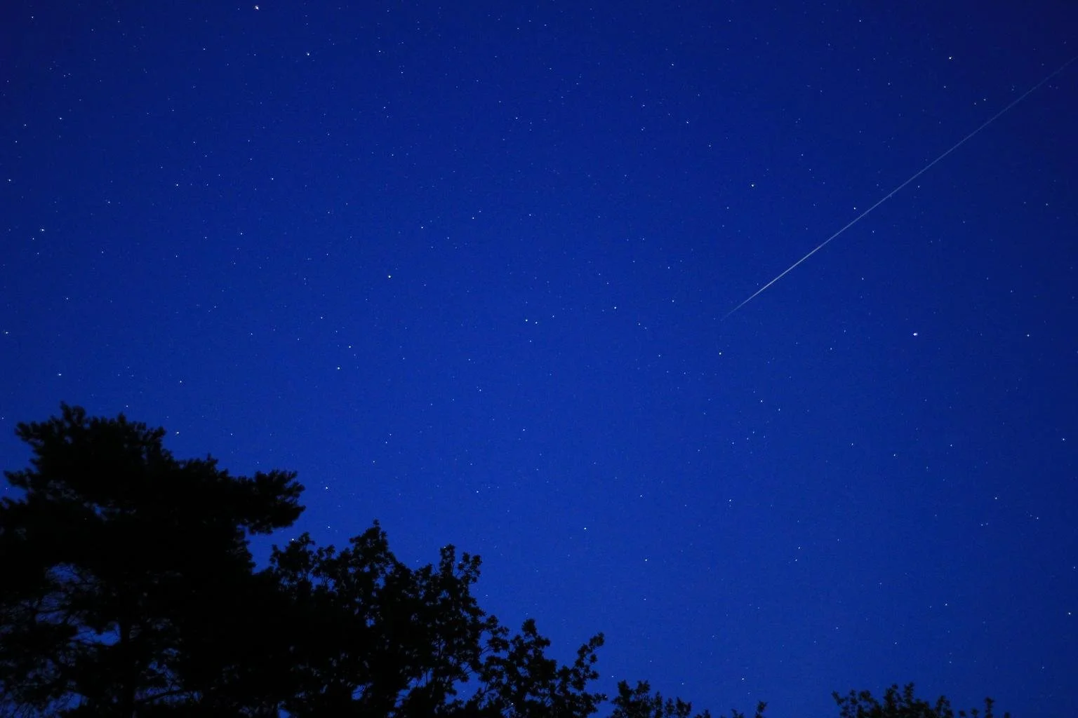 SHOOTING STARS