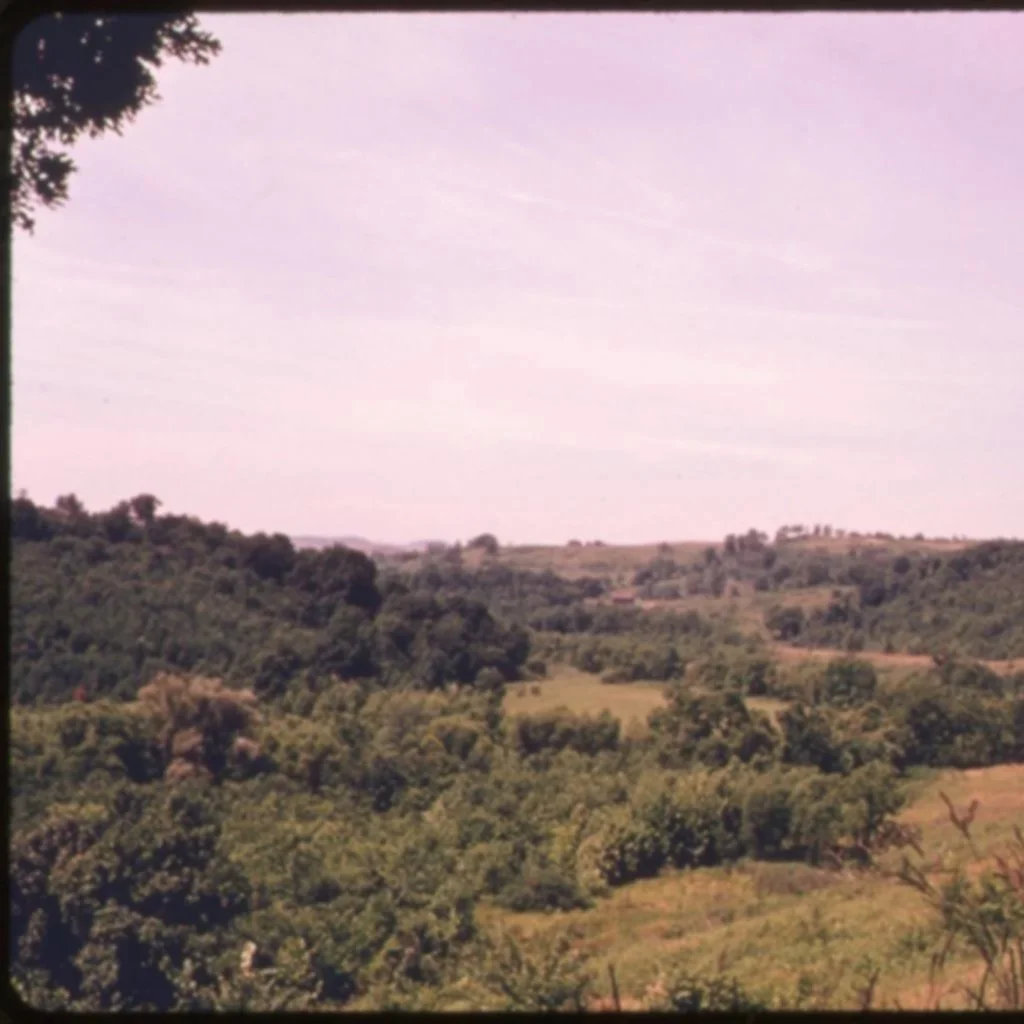 typical_countryside_in_south_0.jpg