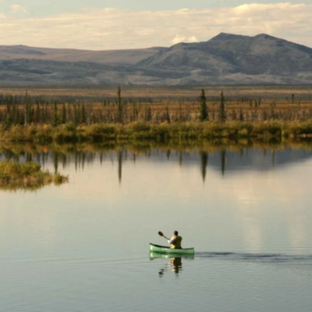 solo_canoeist_paddling.jpg
