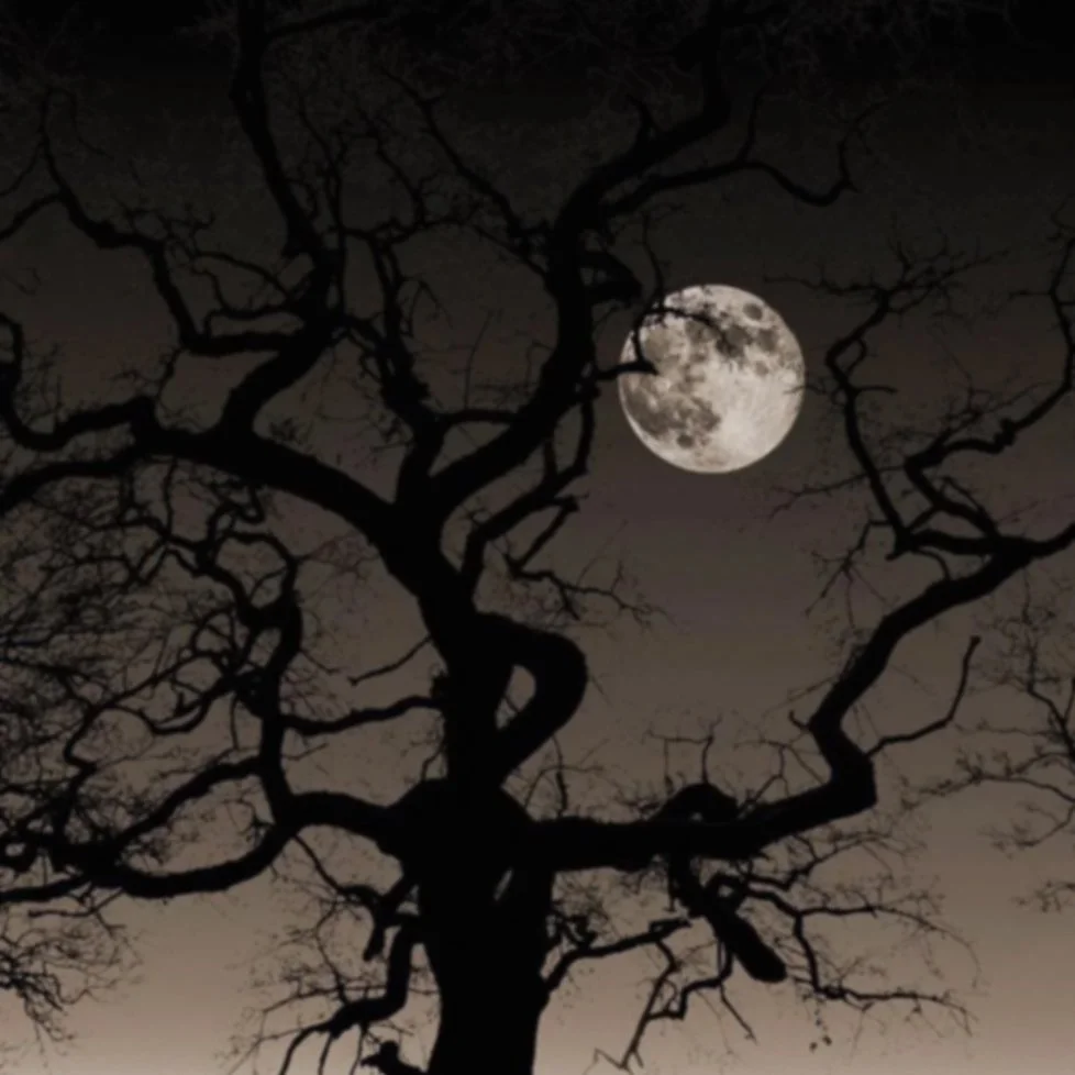 spooky_0.jpg