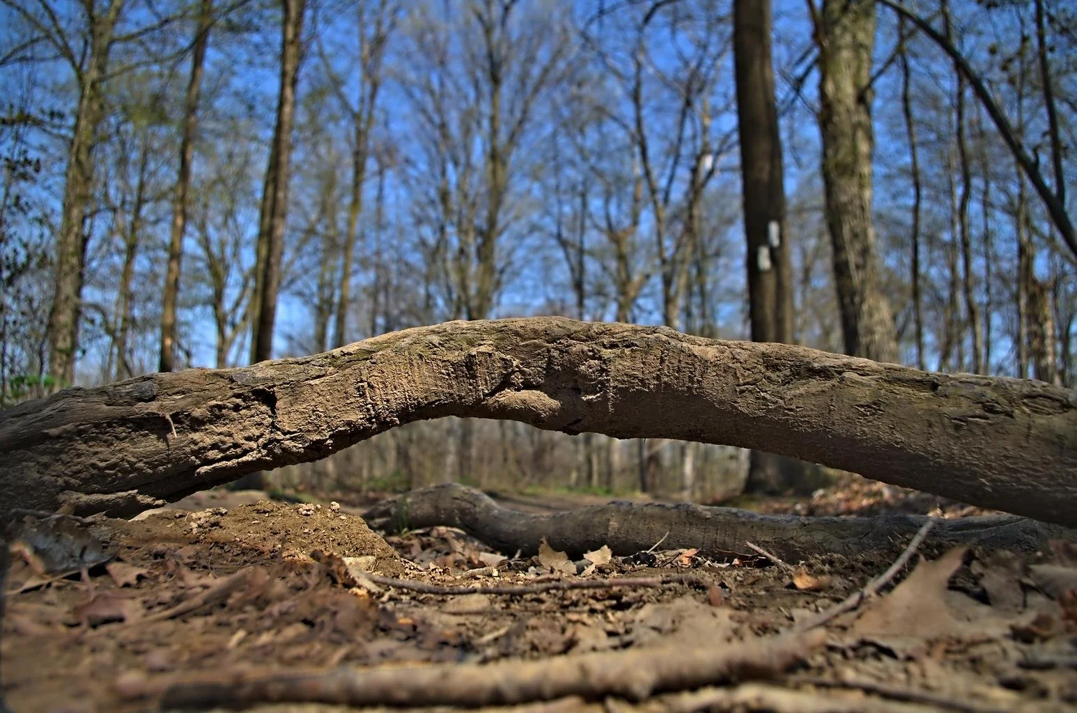 OBSTACLES