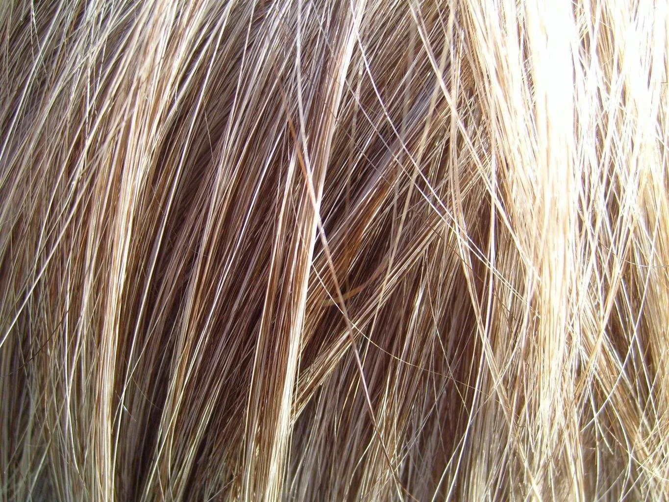 BLONDE HAIR