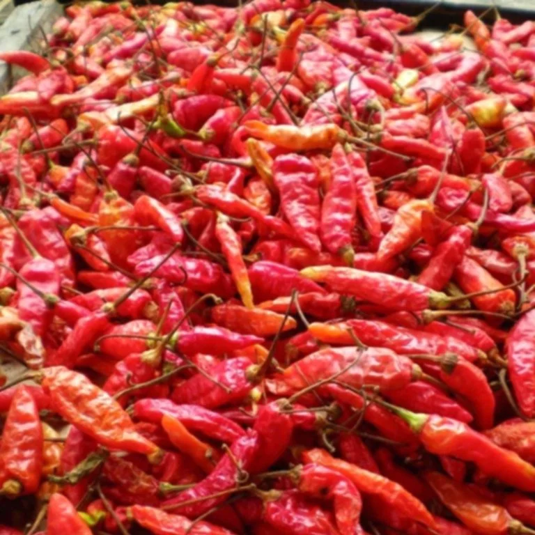 spicy_red_hot_color.jpg