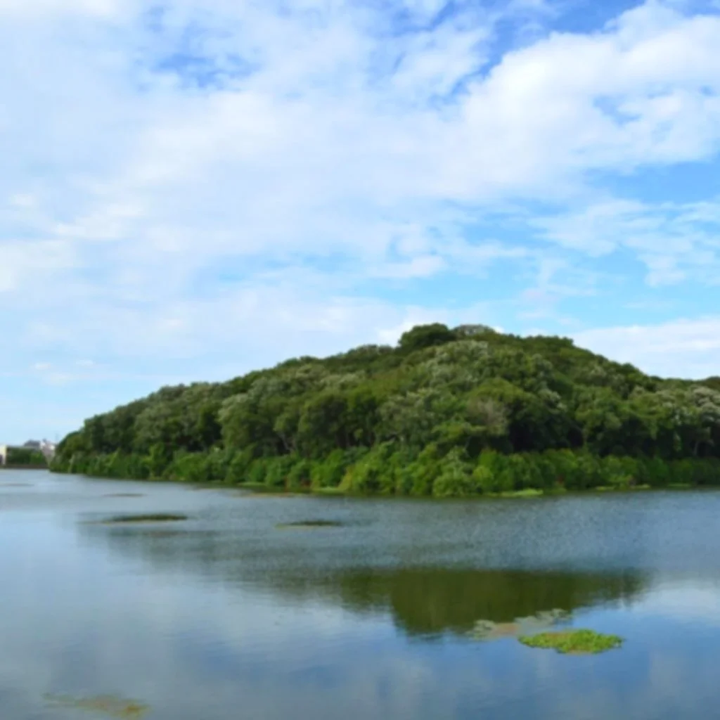haze_nisanzai_kofun_zenkei.jpg