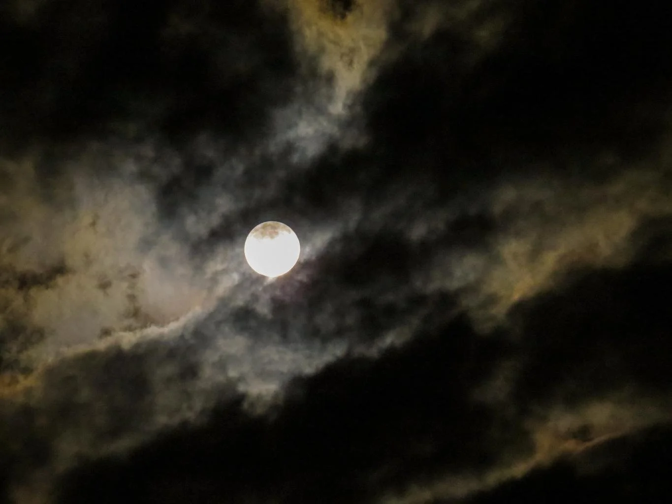 TO THE MOON