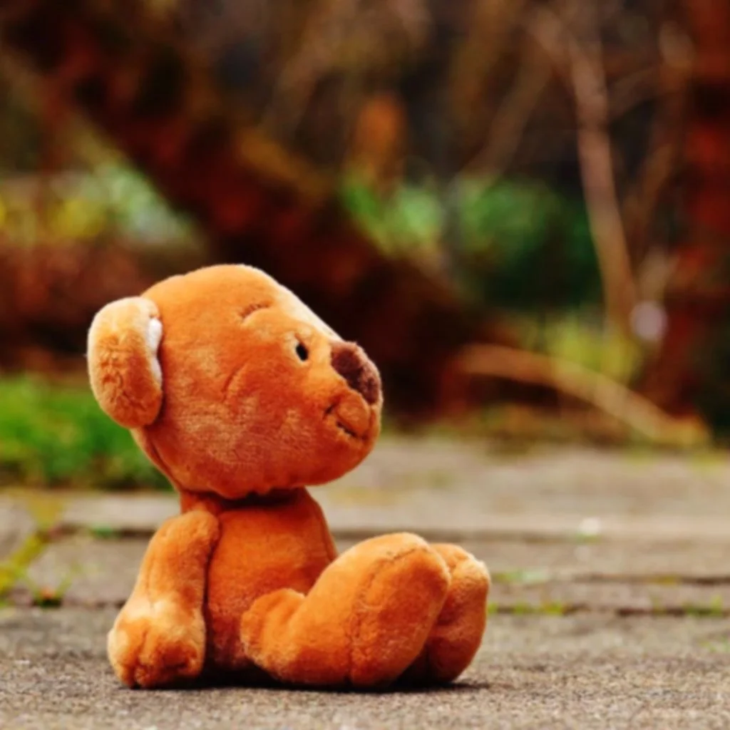bear_teddy_soft_toy_15.jpg