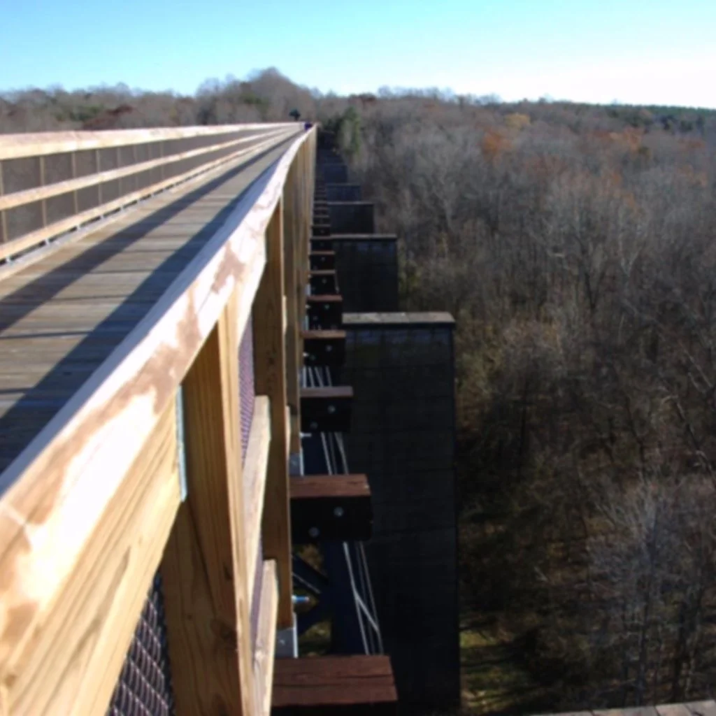 high_bridge_at_high.jpg