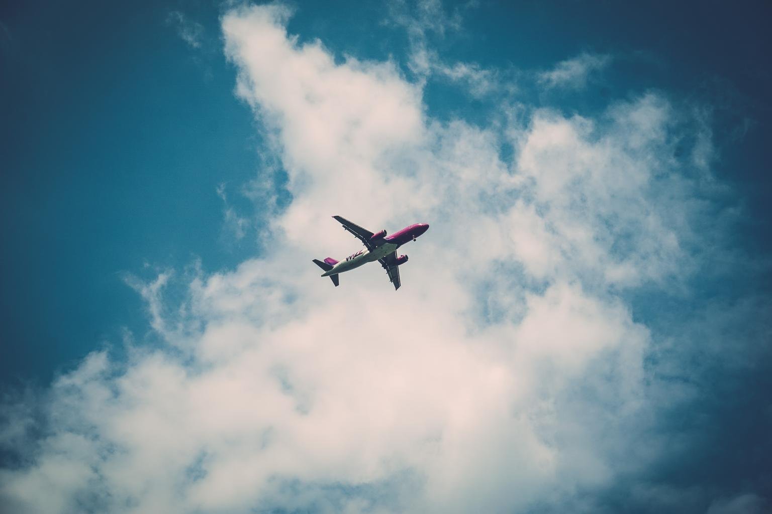 TAKE FLIGHT