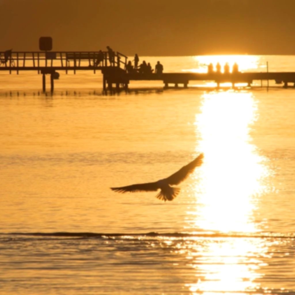 holidays_sunset_sea_holiday.jpg