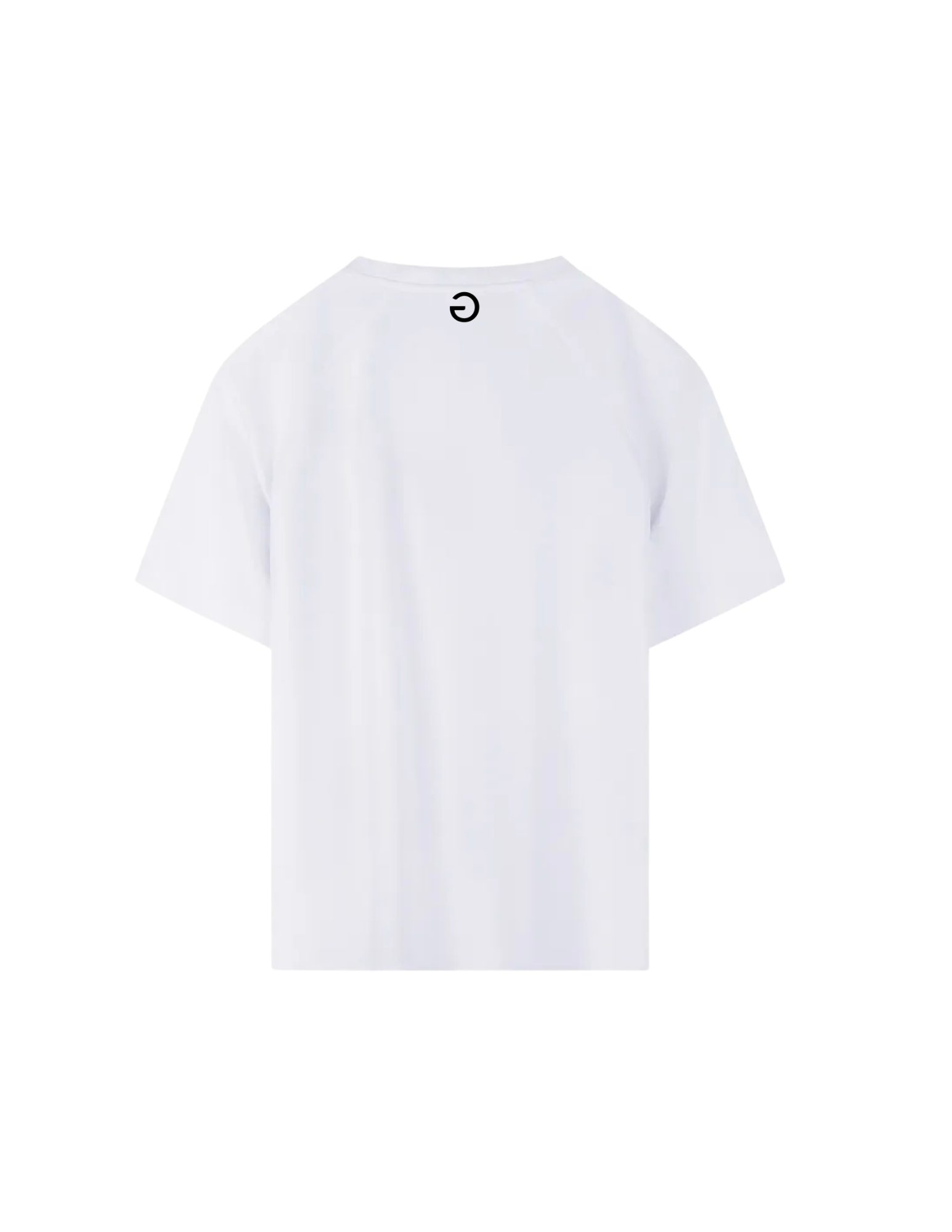 Your paragraph text (12).png