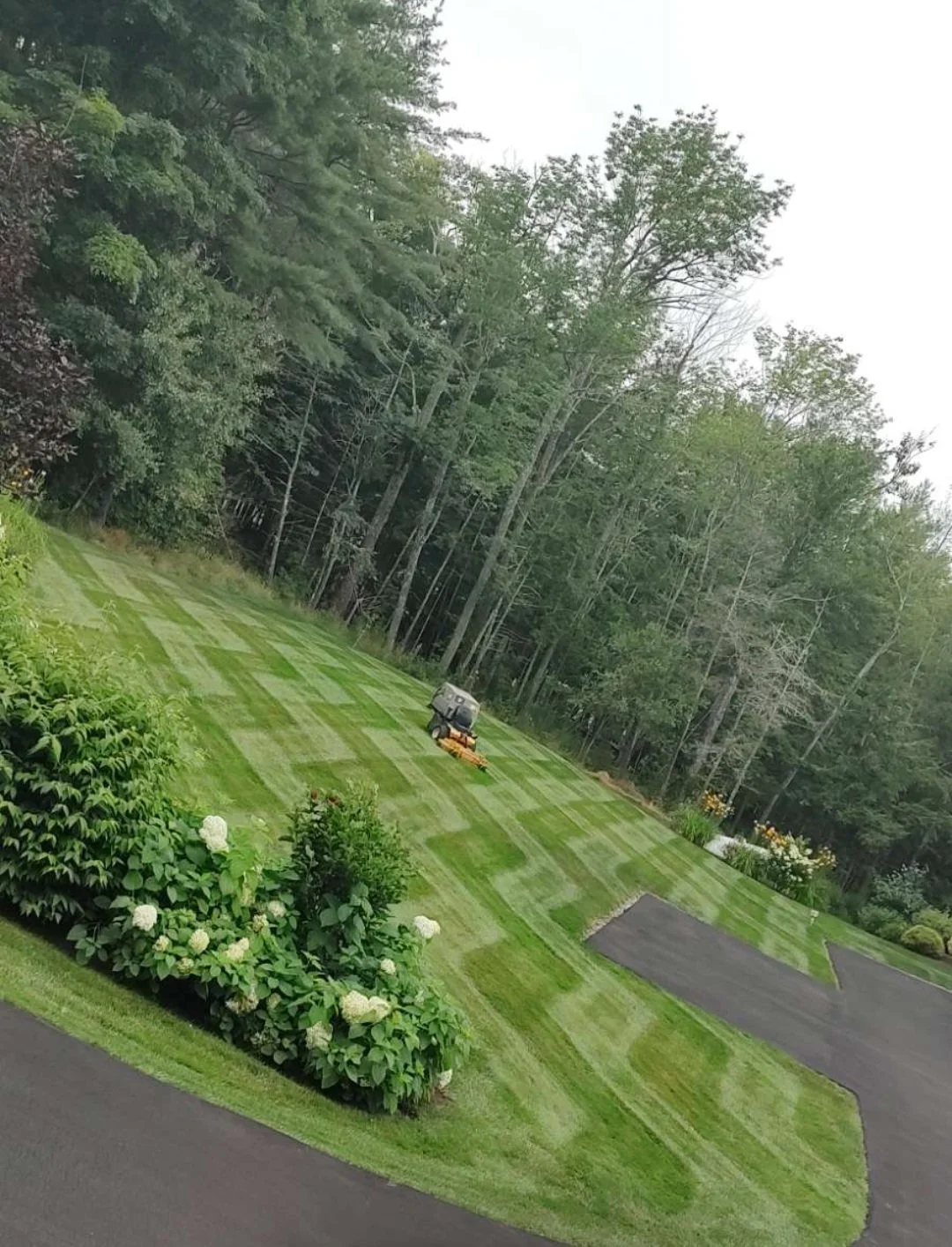 Screenshot_20240731_095047_Snapchat (1).jpg