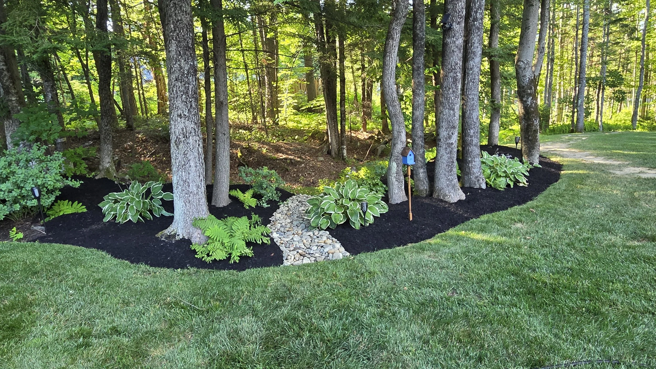 landscape maintenance low light plants in a freshly mulched bed with custom hardscaping accents. 