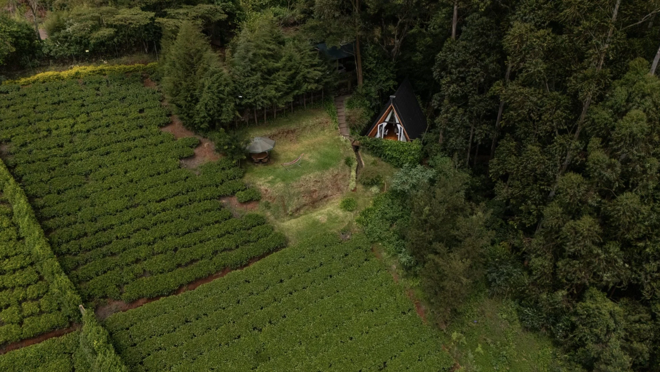 Cottage 1.jpg