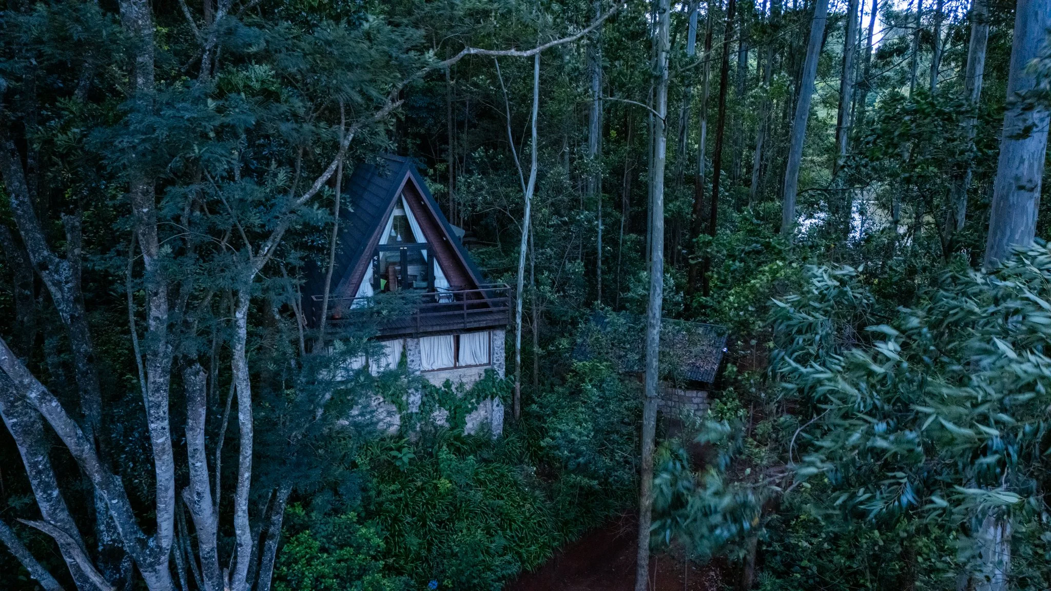 The Treehouse