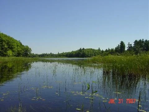 Lake and marsh land on the right.