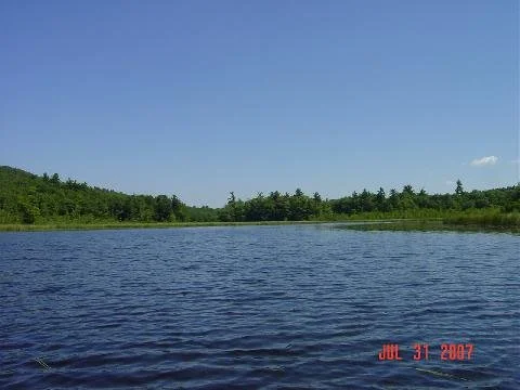 View of the lake on a clear summer day.