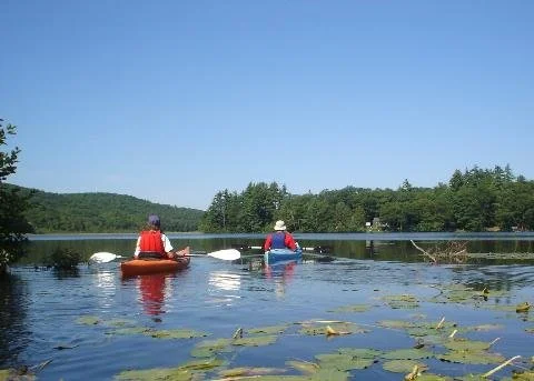 People kayaking among water lilies.