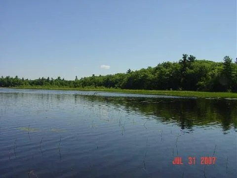 Lake view and island on a summer day.