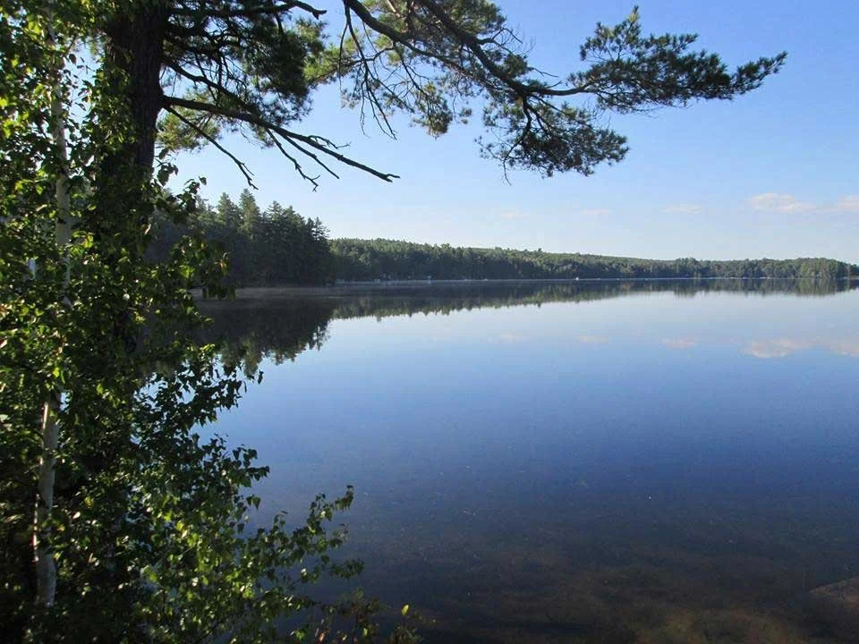 Lake with trees in the foreground.