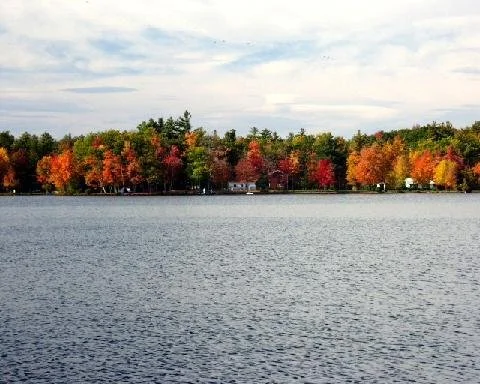 Distant view of trees in full fall color.