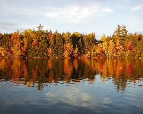View of the lake in full autumn color.