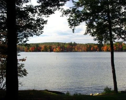 View of fall color from across the lake with trees in the foreground.