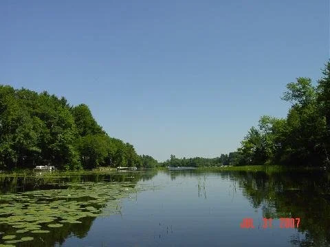 Lake view and water lillies.