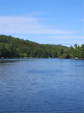 Lake and view of homes.