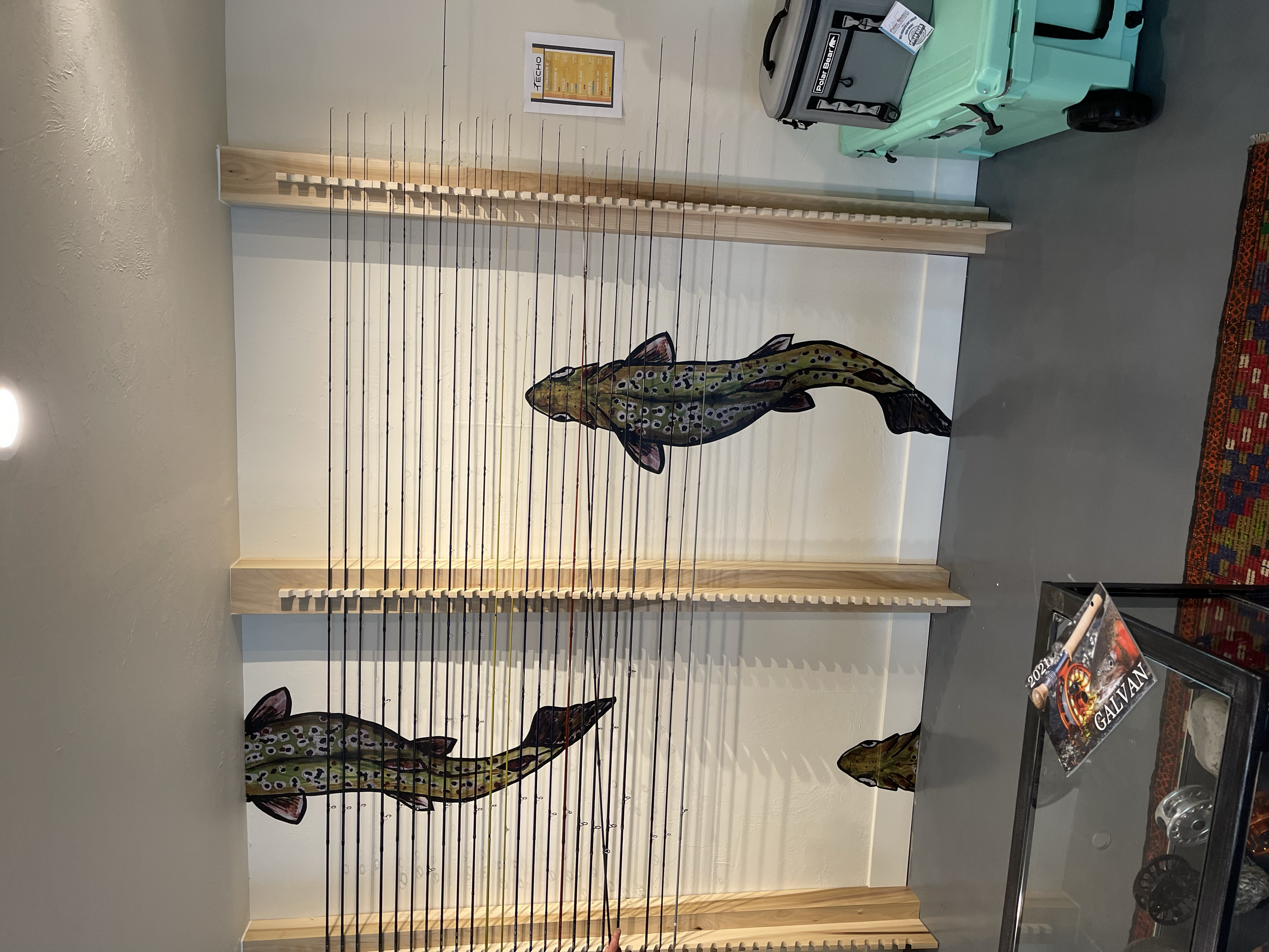 Wall display with a large, colorful fish illustration behind a semi-transparent glass case and a wooden frame with thin vertical rods, located in a retail or exhibit space.