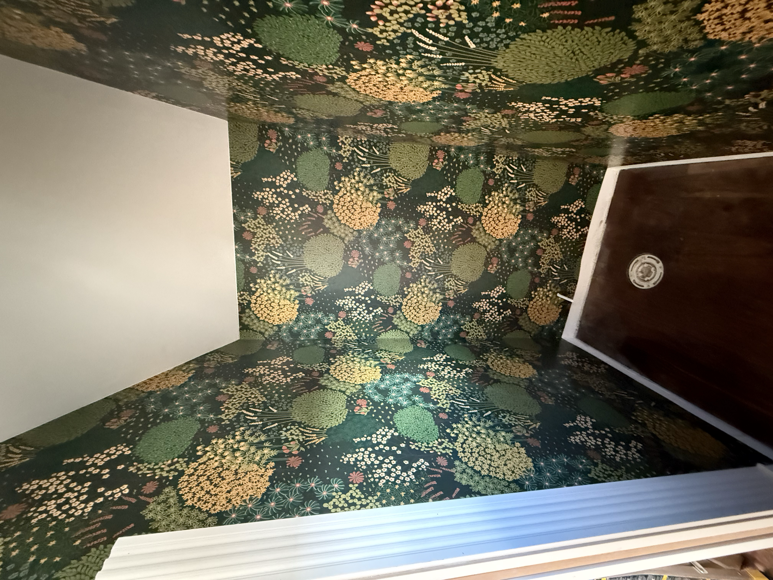 A corner of a room featuring floral-patterned wallpaper with various green, pink, and yellow flowers and foliage on a dark background. The floor is dark wood, and there is a white baseboard along the bottom edge of the wall.