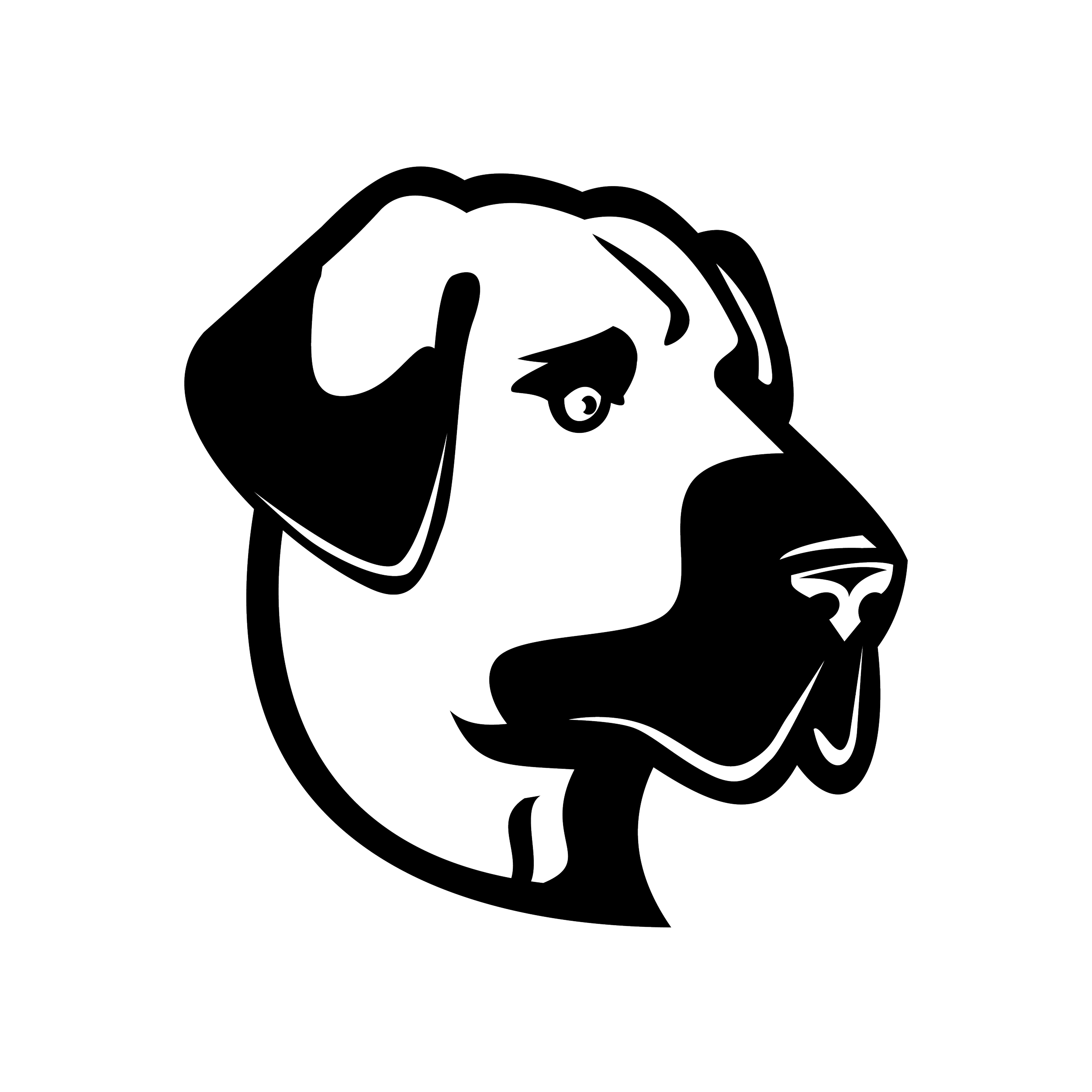 Anatolian Shepherd Dog Head