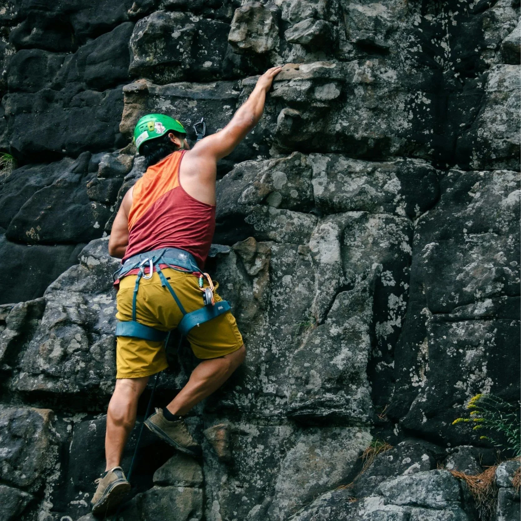 BLACK DIAMOND Men’s Momentum Rock Climbing Harness 