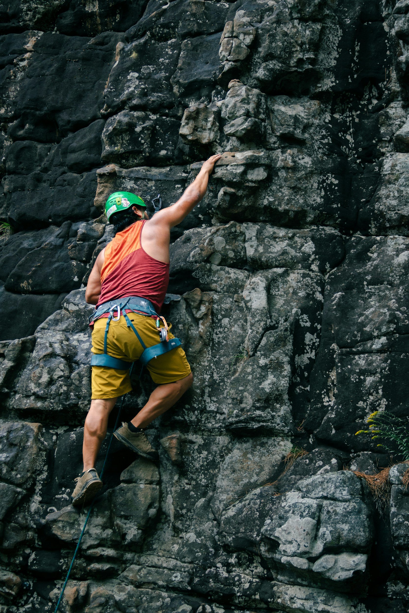 PETZL CORAX LT Unisex Harness 