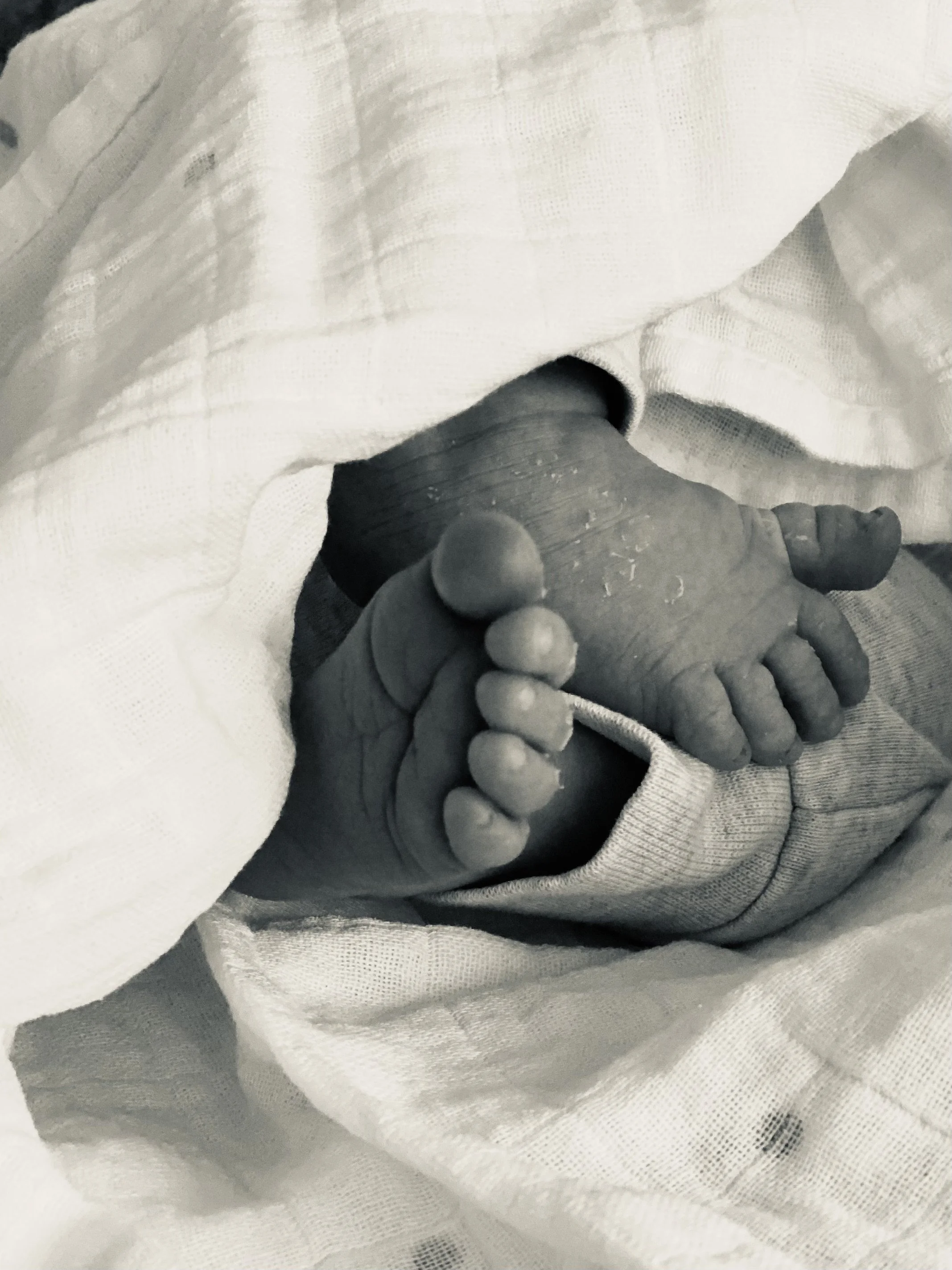 Close-up of a person's hand holding a small, rounded object, with fabric or clothing in the background.