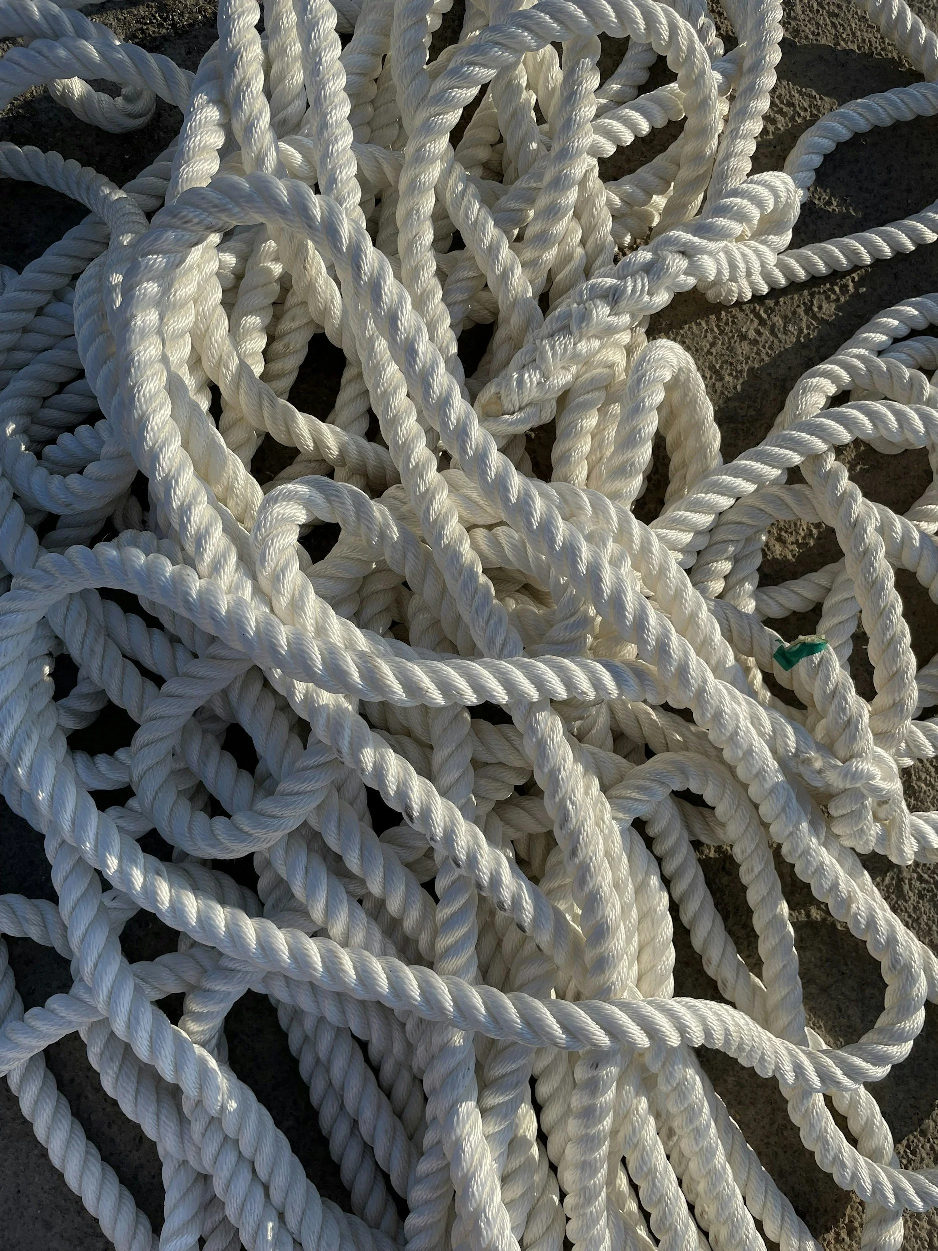 A tangled pile of white ropes on a dark surface.