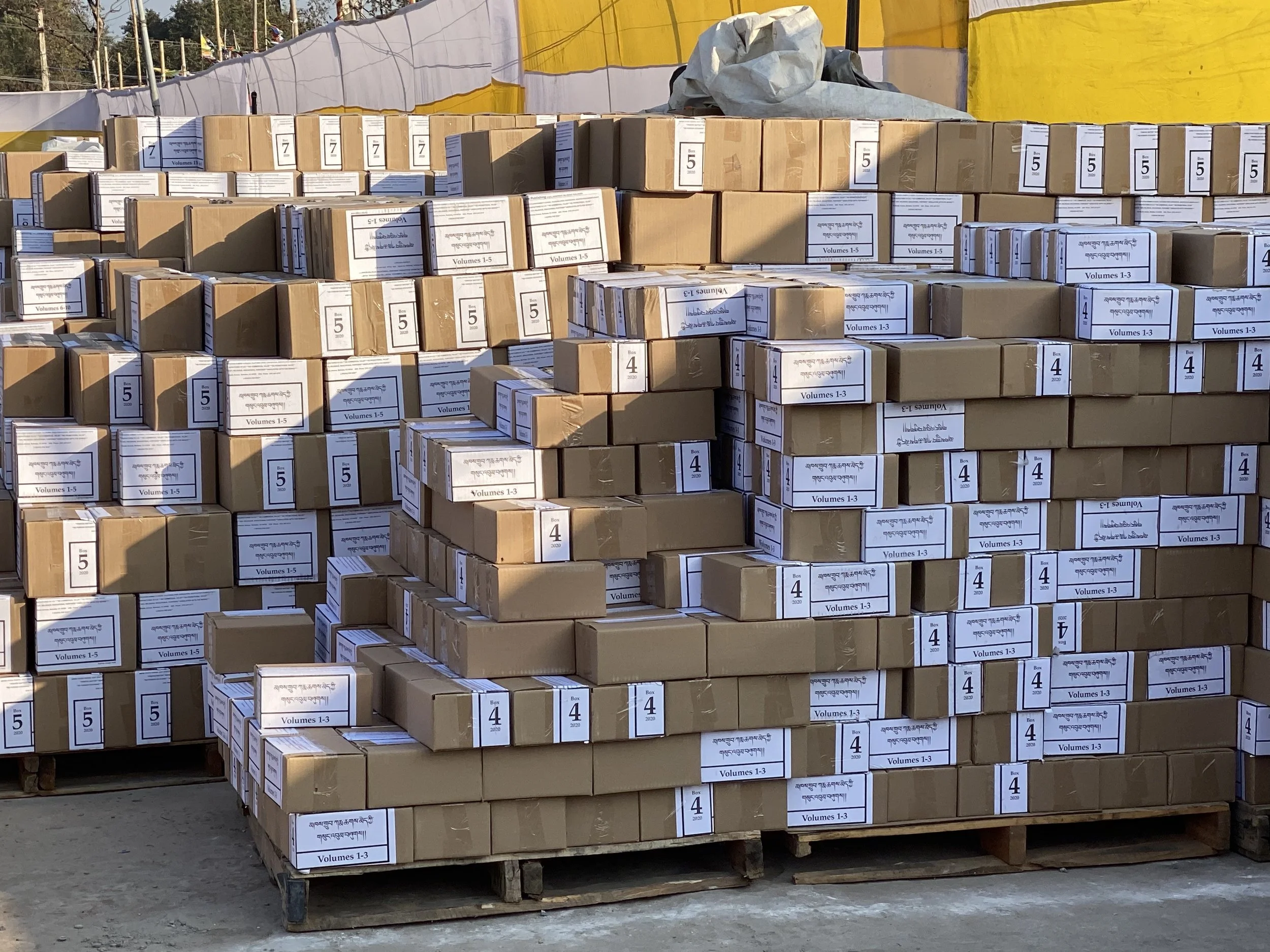Stacked cardboard boxes on pallets, labeled with volume numbers, at an outdoor storage or distribution area in Bodh Gaya, India.