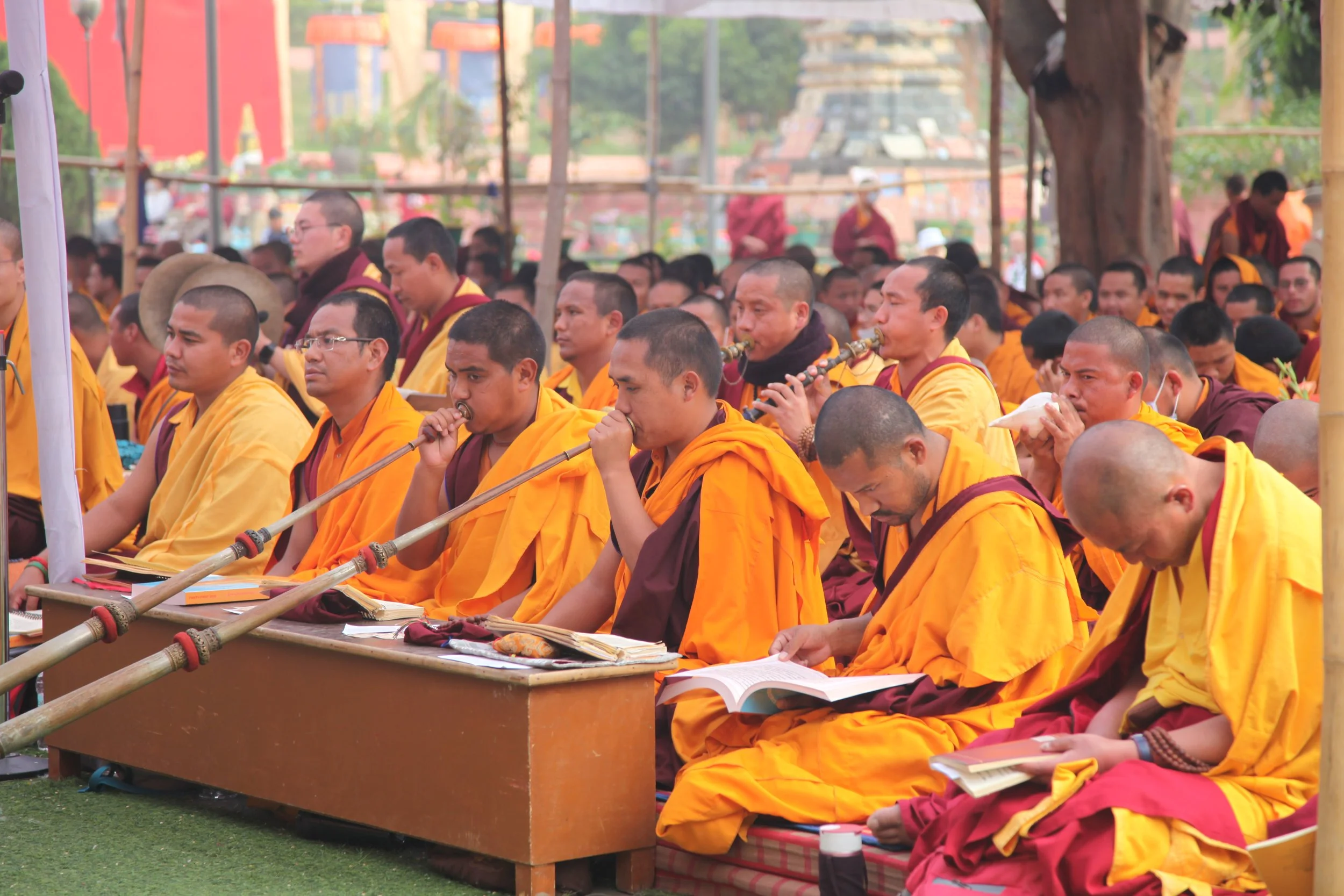Monks dressed in orange and maroon robes seated in rows, engaging in prayer and reading during a religious ceremony outdoors.